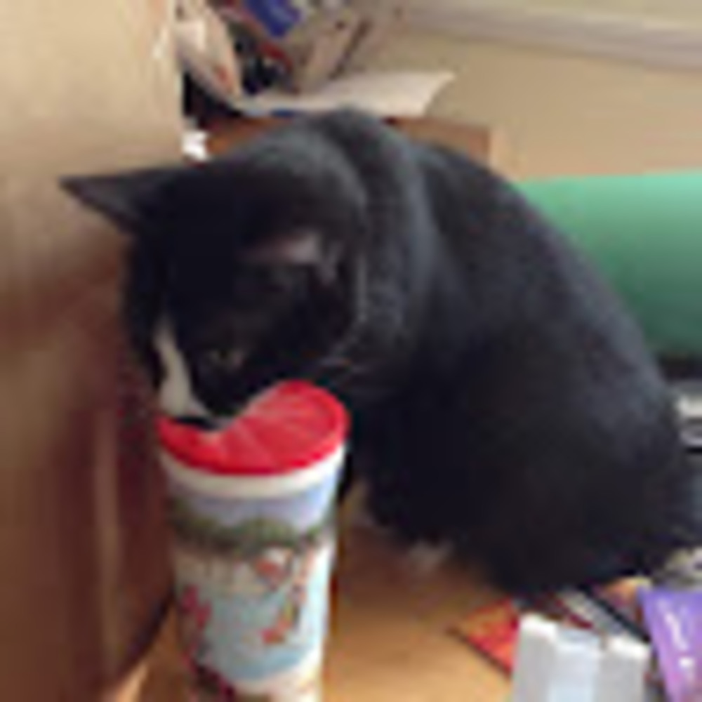 Meet your Posher, Olga